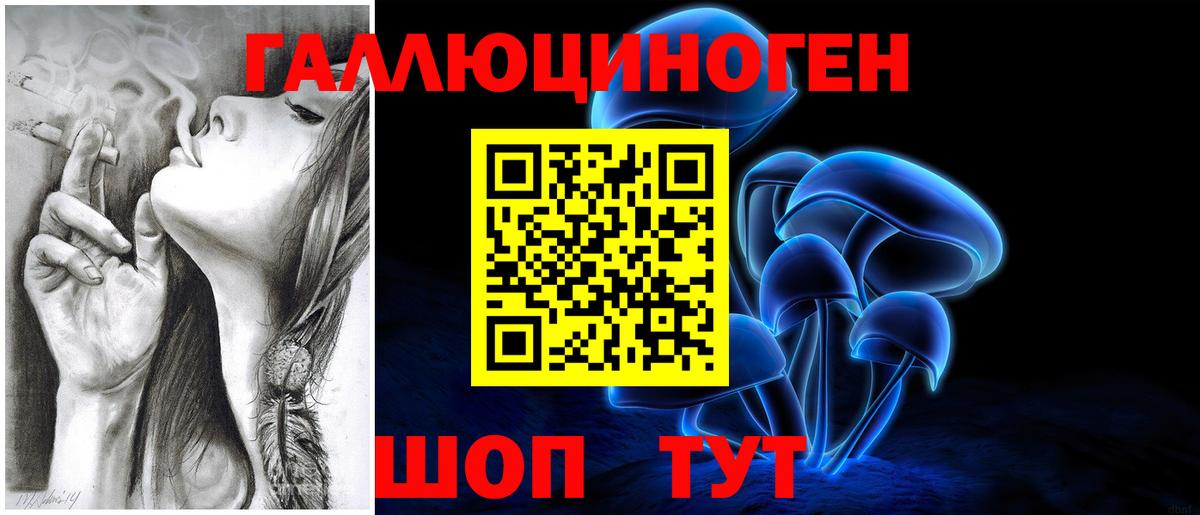 Кольчугино  сколько стоит  Вход с VPN  Галлюциногенные грибы Psilocybine cubensis 